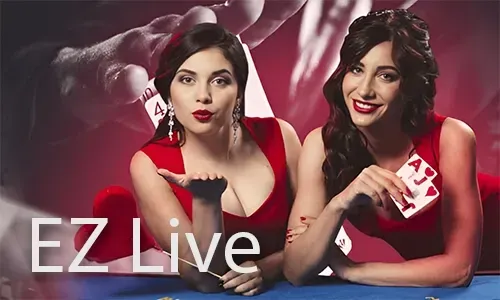 Cockfight Betting